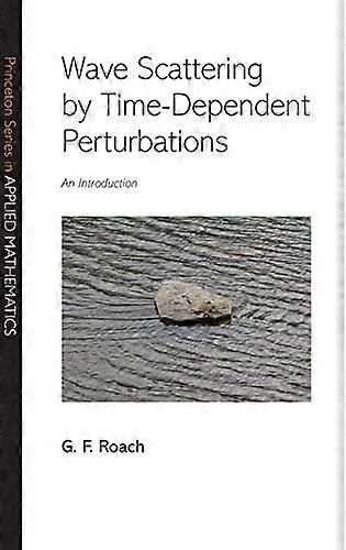 Wave Scattering by Time Dependent Perturbations: An Introduction