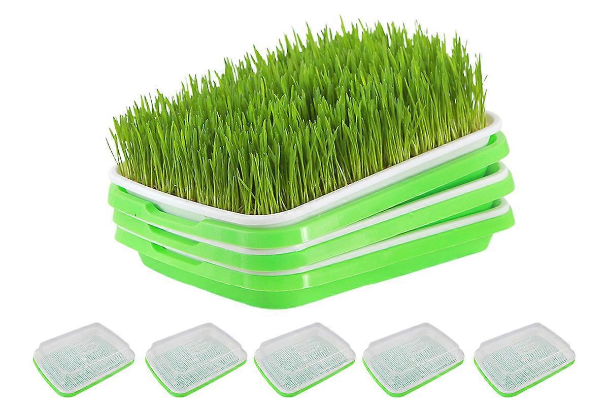 5Pcs Seed Sprouter Tray Set with Drain Holes for Wheatgrass Beans