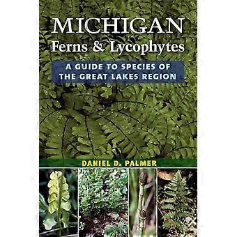 Farne und Bärlappgewächse Michigans: Ein Artenführer für die Region der Großen Seen
