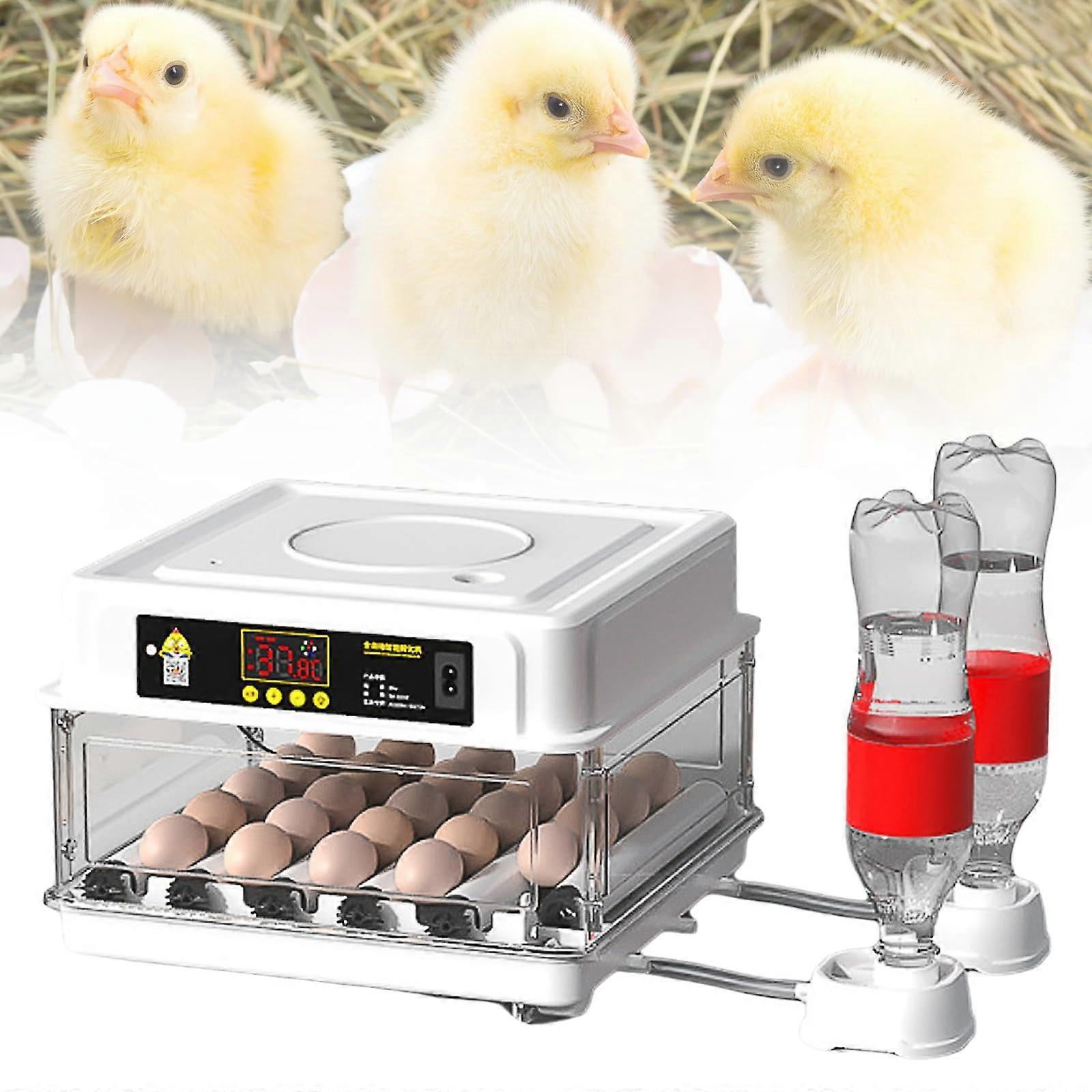Automatic Egg Incubator with Humidity and Temperature Control for Efficient Poultry Hatching
