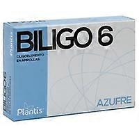 Biligo 6 (Sulfur) - Trace Element 40 ml