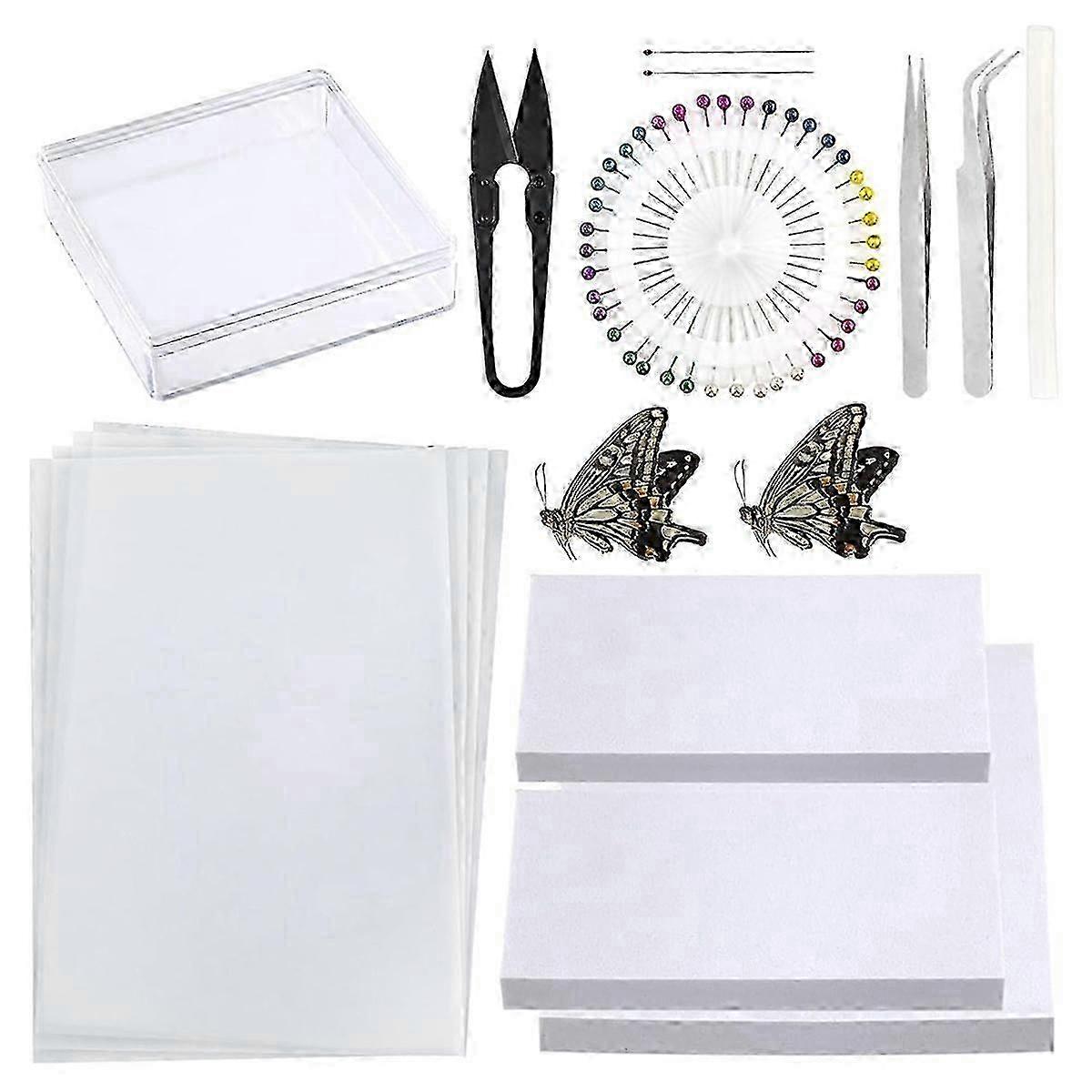 Classroom insect specimen making tools