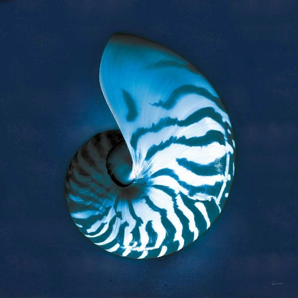 Cyanotype Sea I Poster