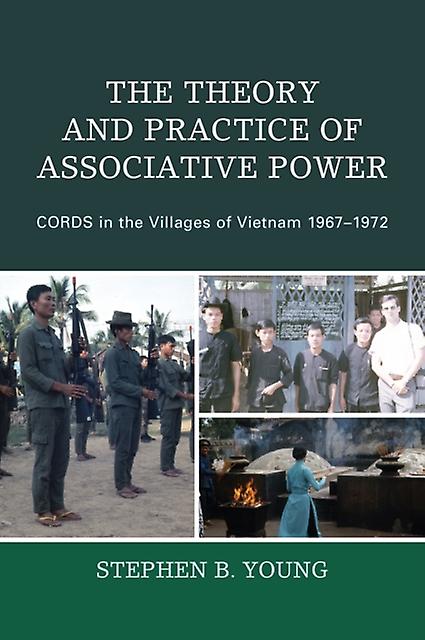 The Theory And Practice Of Associative Power by Stephen B. Young Paperback Book