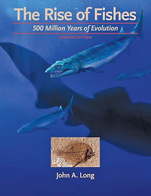 The Rise Of Fishes by Long & John A. Strategic Professor in Palaeontology & Flinders University Paperback Book