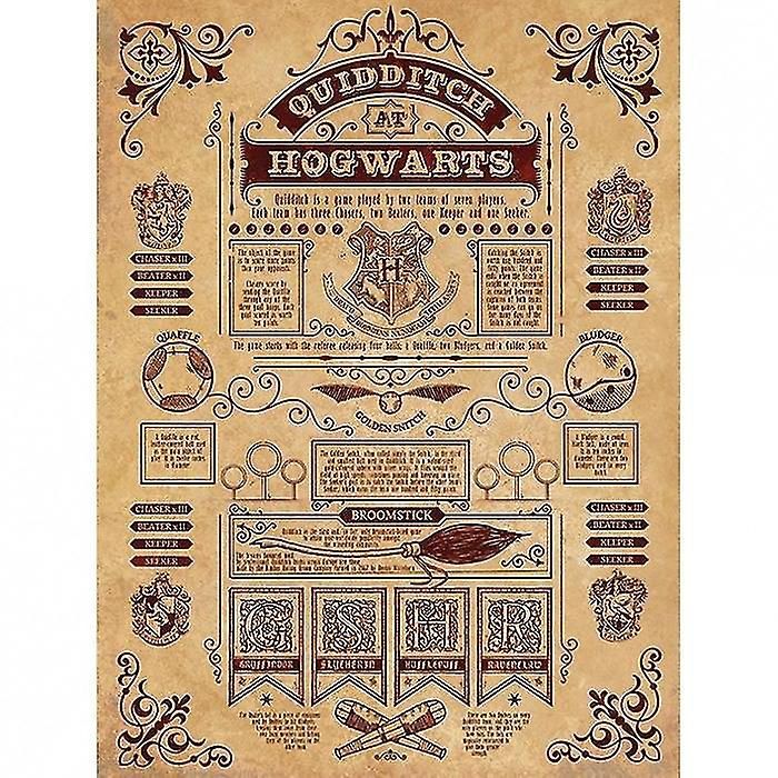 Harry Potter Quidditch At Hogwarts Framed Canvas Print