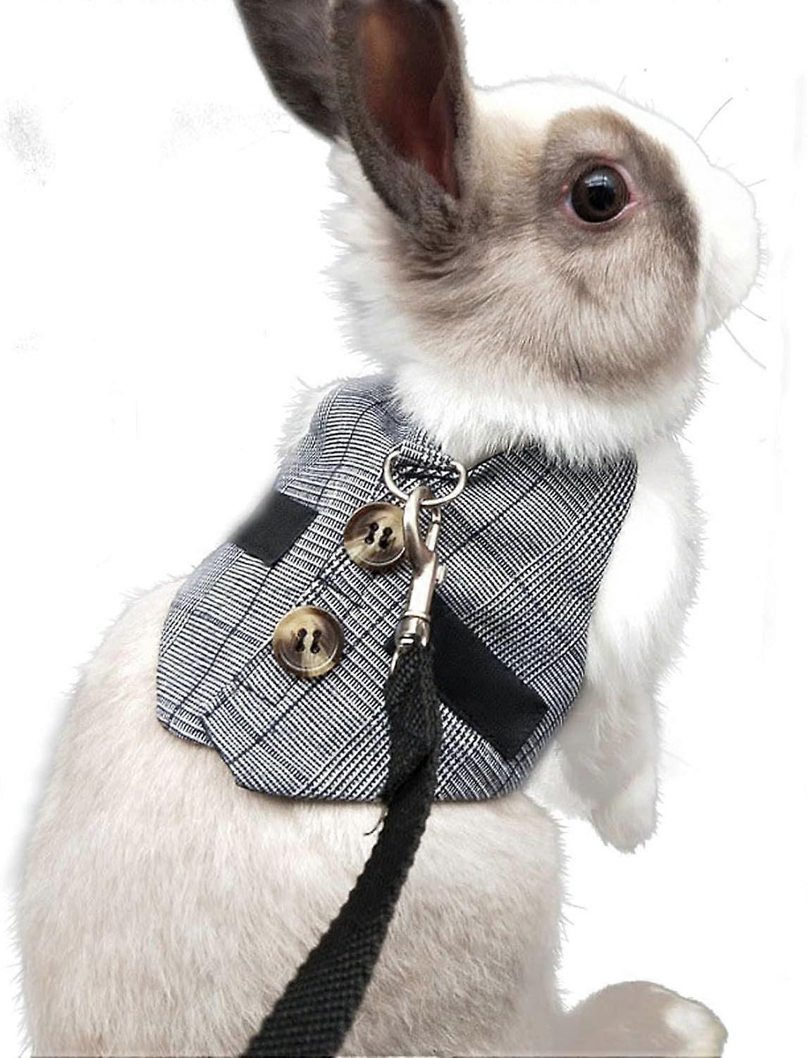 Rabbit Adjustable Costume Harness, Small Animal Harness and Leash Set,for Small Animals Rabbits Hams