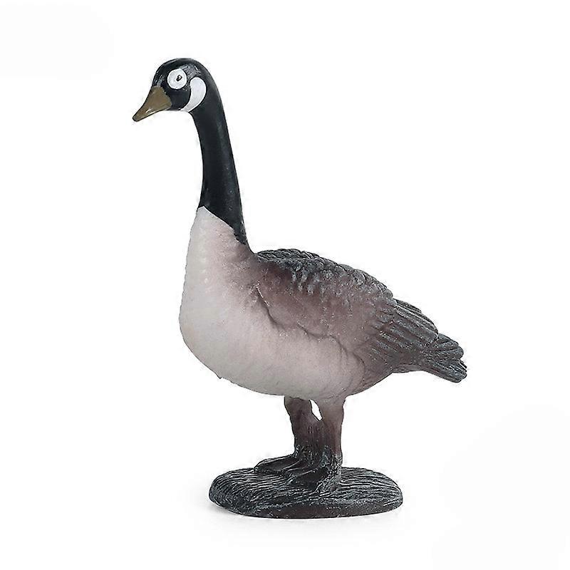 Simulation  White Swan Animal Simulation  Farm Poultry Children's Cognitive Solid Plastic Toy Ornaments