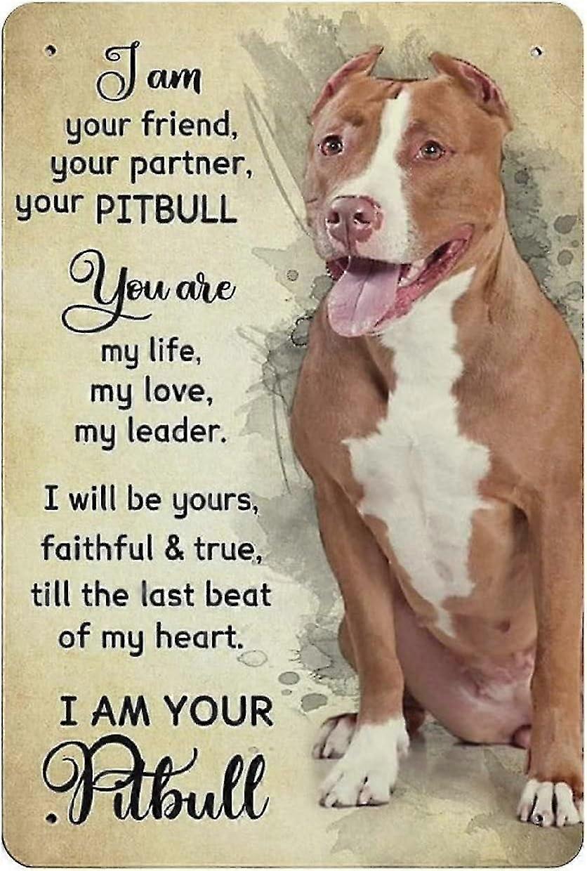 Placa de Metal Pitbull Dog Vintage Lata Poster Metal Sign 8x12 Polegadas OU 12x16 Polegadas Modo 1724