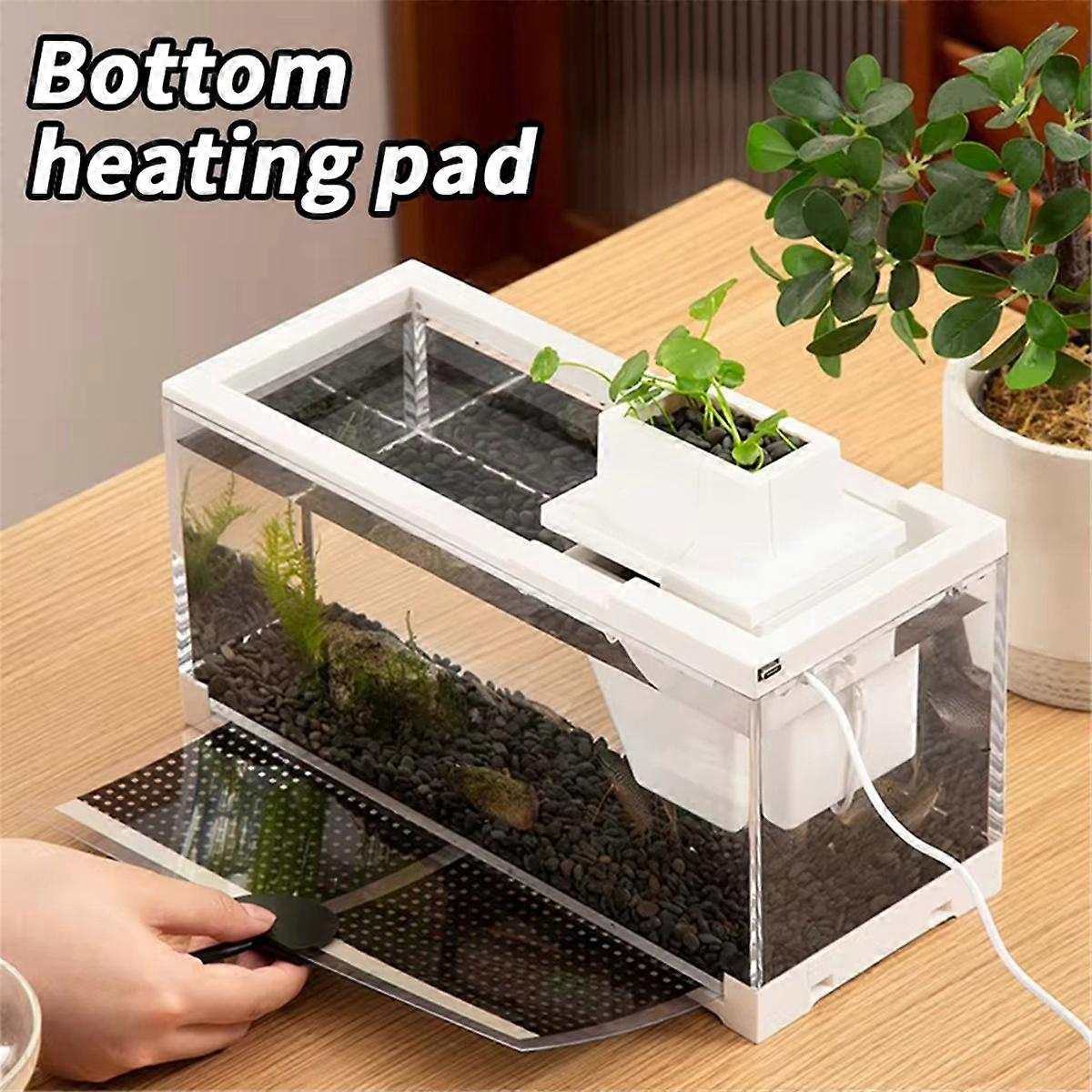 Tiny Fish Tank- Aquarium with Inner Light Mini Landscape Desktop Home Ornaments for Small Spaces Dec