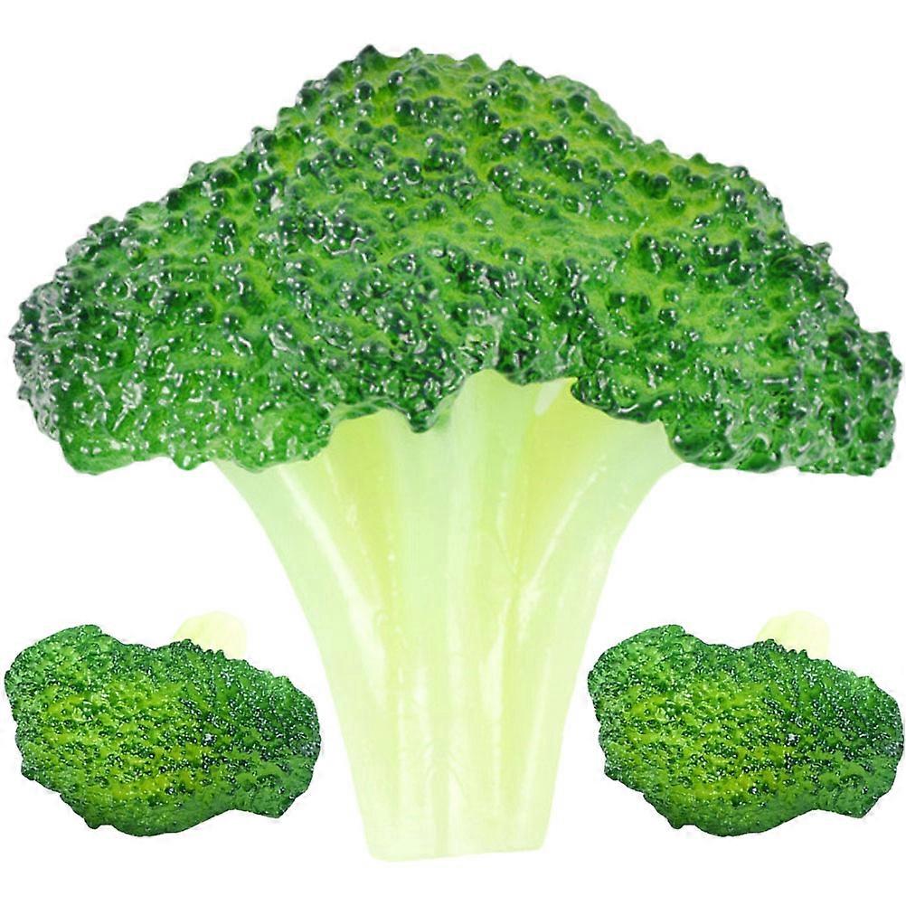 3Pcs Artificial Broccoli Decorations Vegetable Models for Showcase Display Props