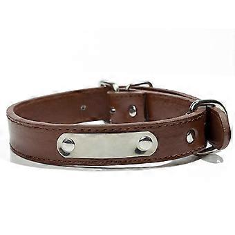 New stainless steel laser engraving iron sheet PU pet collar anti-lost engraving dog tag dog neck collar Yiwu,l