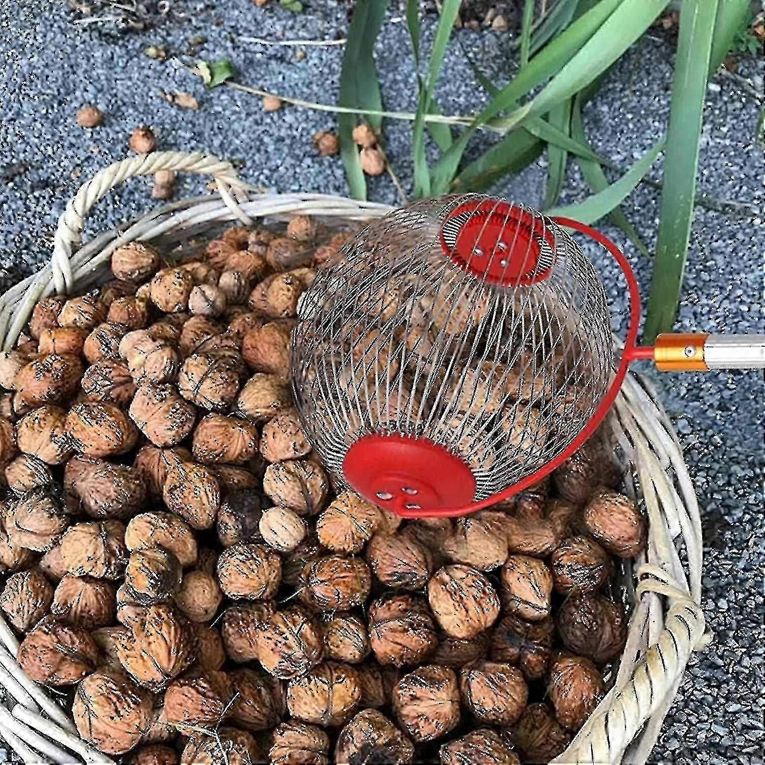 Nut Gatherer Acorn Picker Upper - Side Opening Dump Walnut Picker Upper Roller Pinecone Picker Upper-excellent