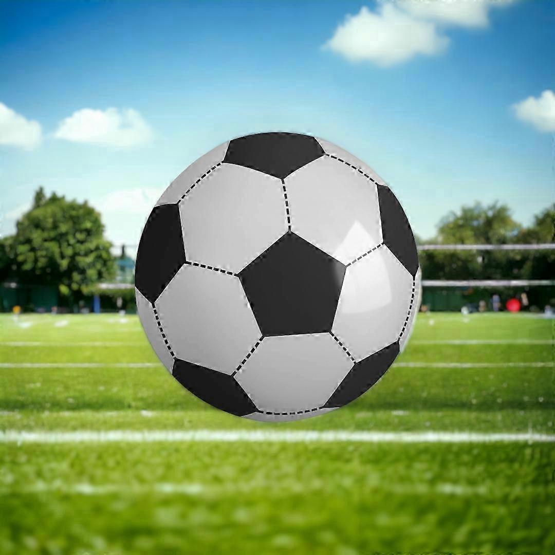Super-Sized 107cm Inflatable Ball