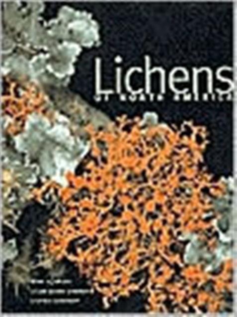 Lichens Of North America by Stephen Sharnoff Hardback Book