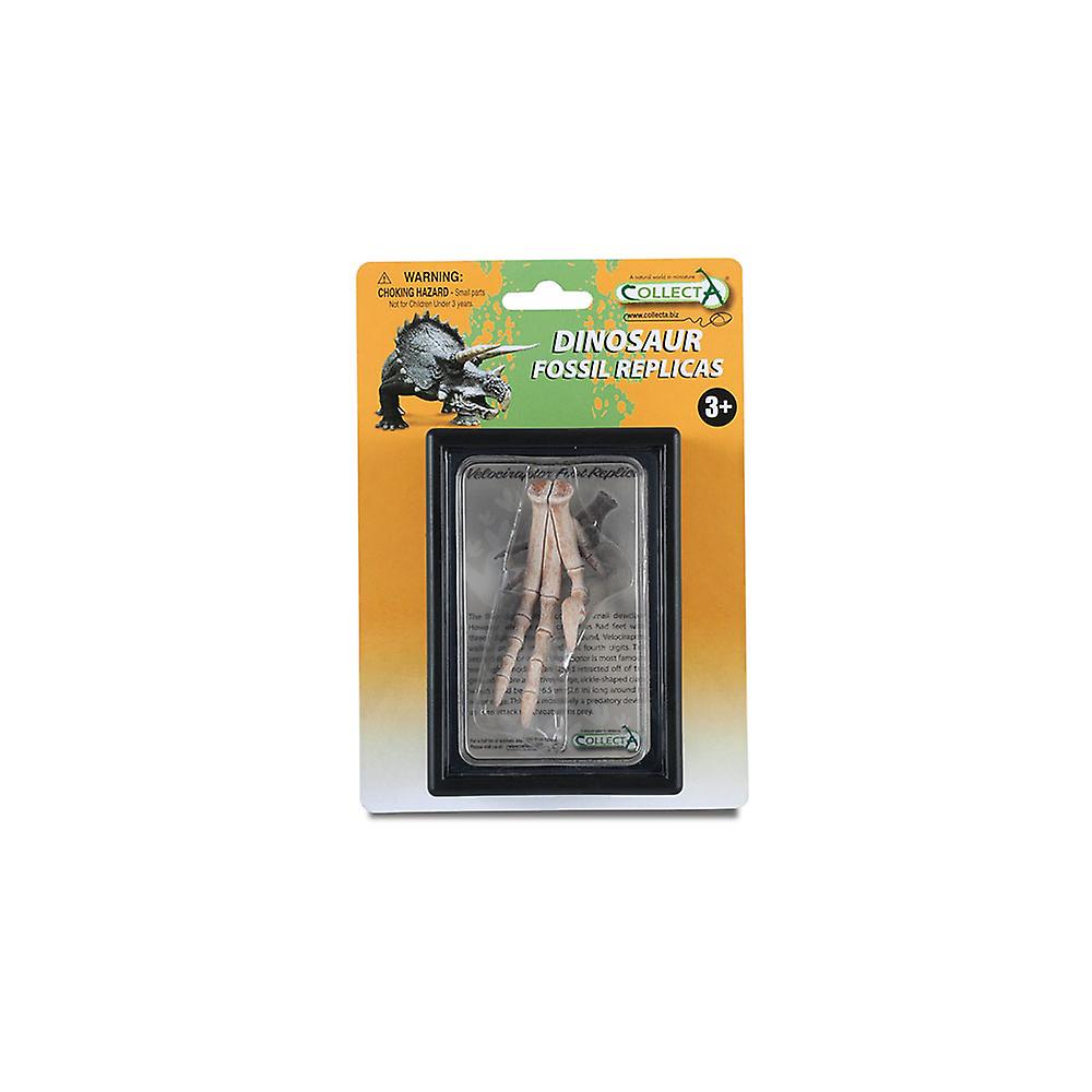 CollectA Collectible Foot Replica of Velociraptor for Ages 3 Years and Up