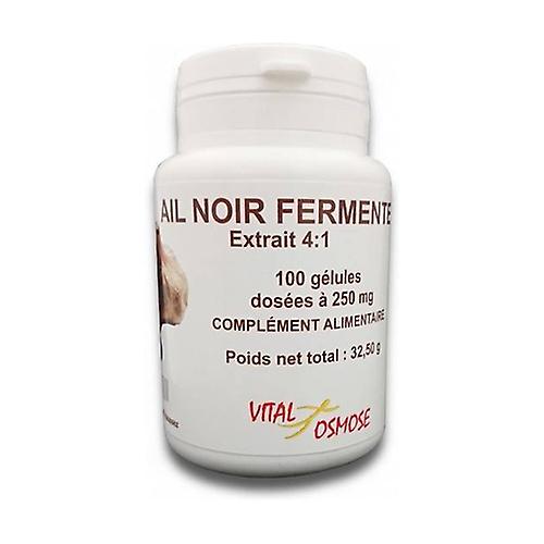 Fermented Black Garlic 4: 1 Extract 100 capsules of 250mg