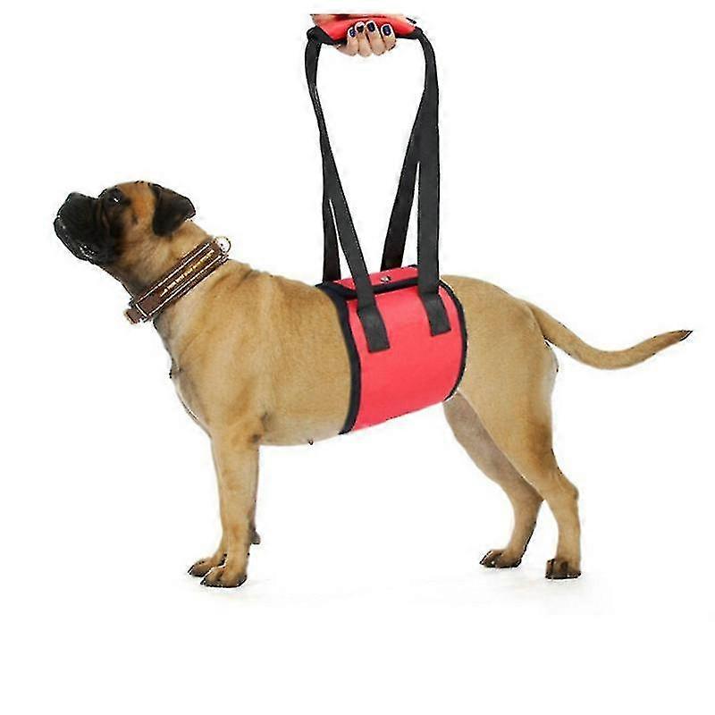 Dog Lift Harness, Support & Recovery Sling, Pet Rehabilitation Lifts Vest Adjustable Breathable Straps For Old, Disabled, Joint Injuries, Arthr