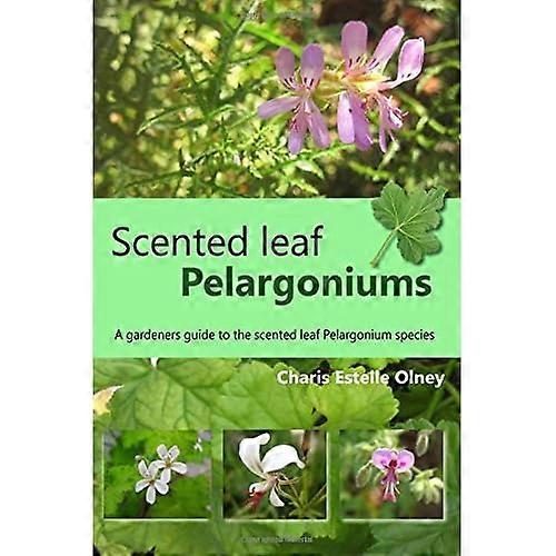 Geparfumeerde Blad Pelargoniums