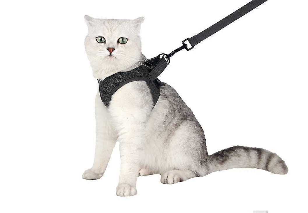 Ultra Light Cat Harness and Leash Set for Walking, Size L, Soft and Comfortable Escape Proof Design