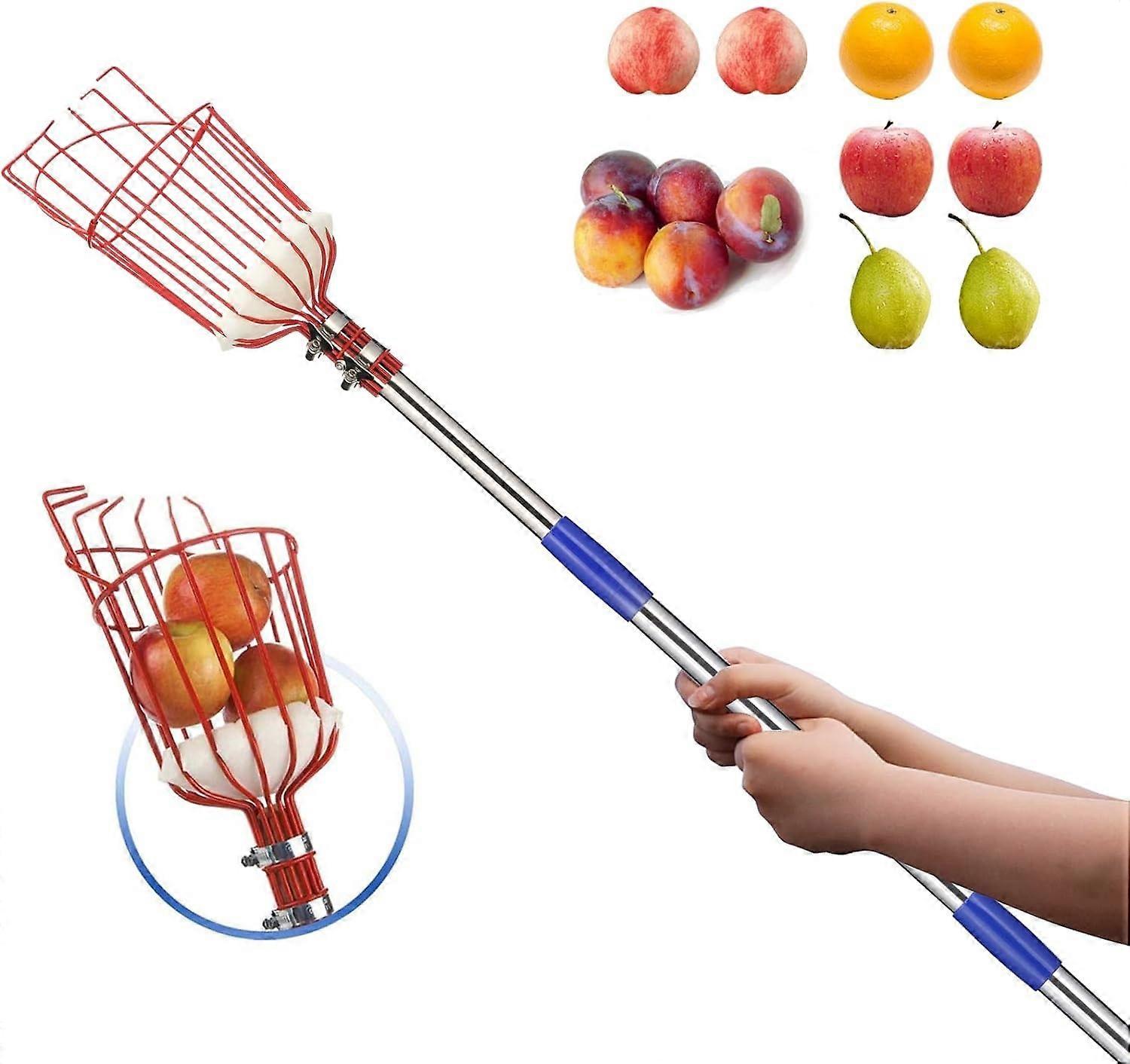 Fruit Picker Pole with Basket - 10 Foot Adjustable Height Tool for Picking Fruits, Lightweight Aluminum Frame, Ergonomic Handle