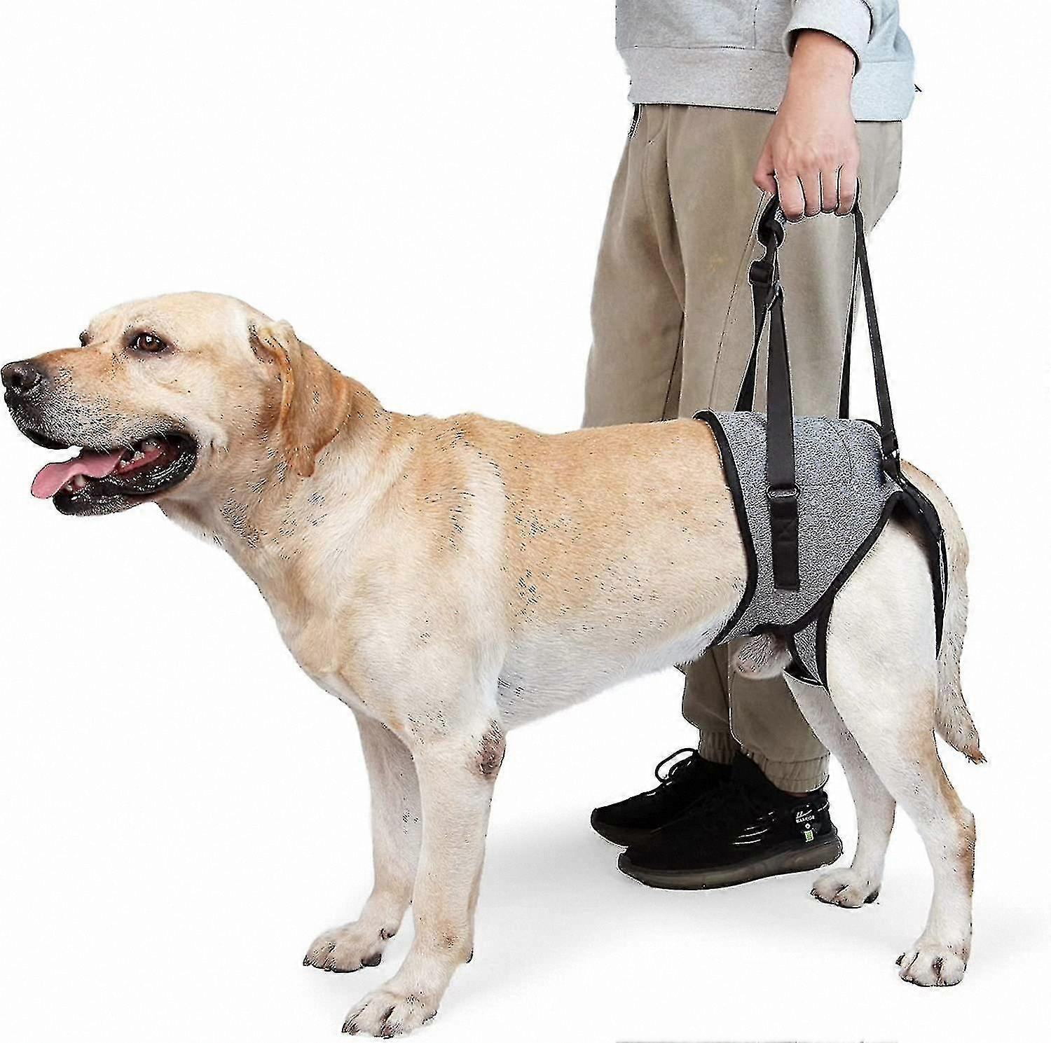 Support Harness for Dogs, Soft Lifting Sling for Back Legs, Injured or Disabled Dog Support Aid