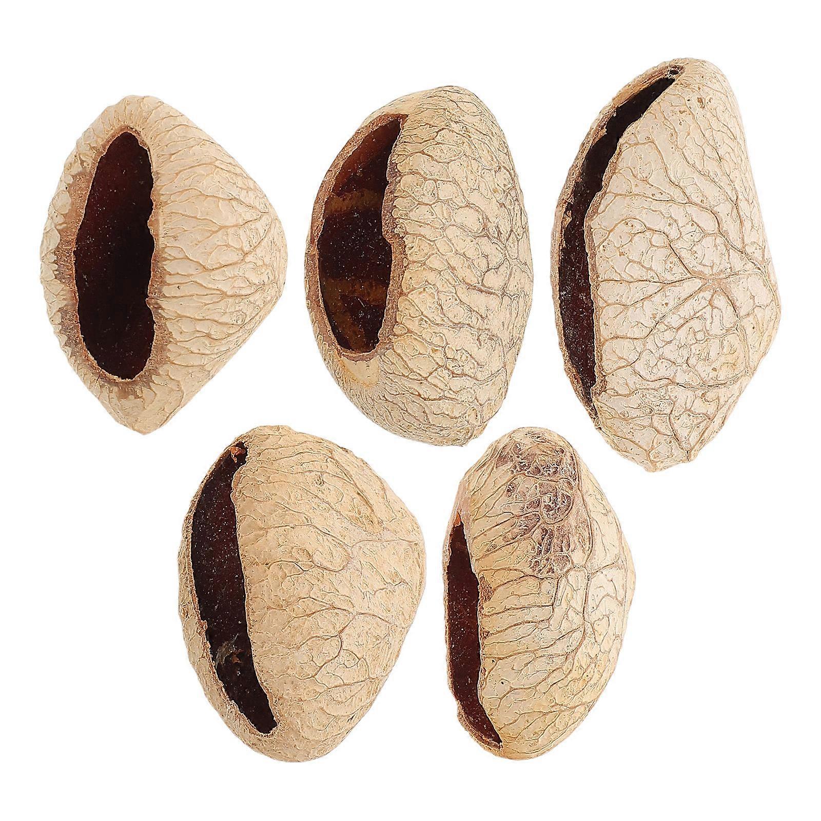 Shaker Music Instrument Pangi Seed Shell for Percussion 20Pcs