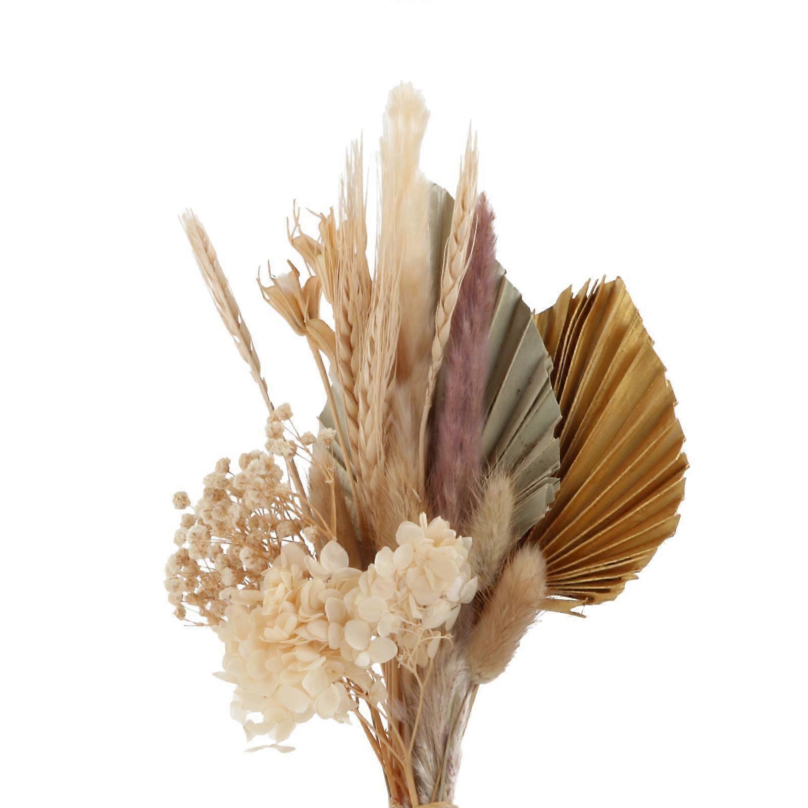 Natural Dried Palm Spear for Boho Home Decor Type 2