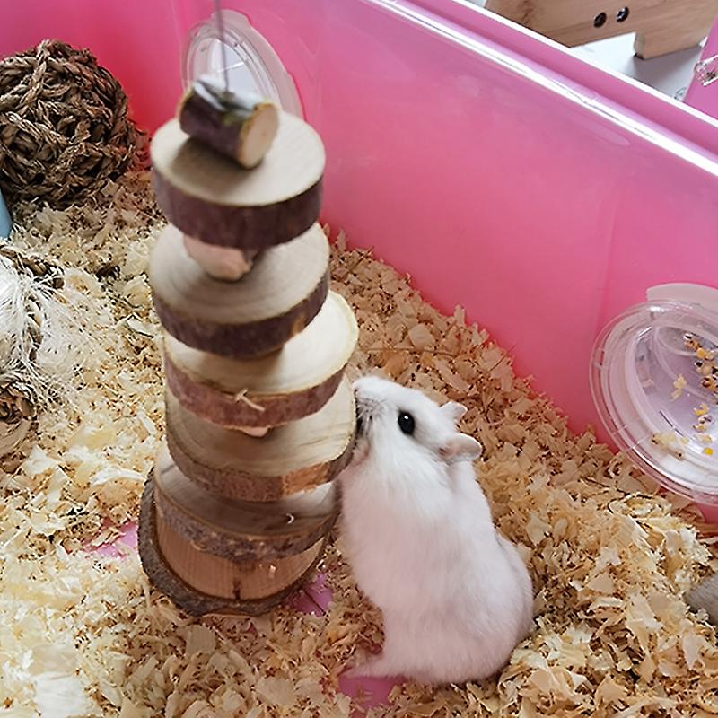 Small Pet Apple Wood Chew Sticks Twigs For Rabbit Hamster Guinea Pig Cat Toys