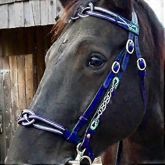 Leading Cage Cover 2025 Leather PU Equestrian Supplies Bridle Horse Equipment Metal Adjustable Size