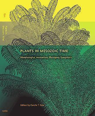 Plants in Mesozoic Time - Morphological Innovations Phylogeny Ecosystems