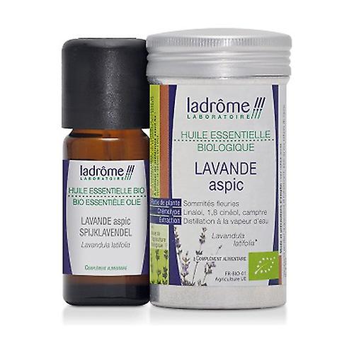 Organic Lavender Aspic essential oil 10 ml of essential oil