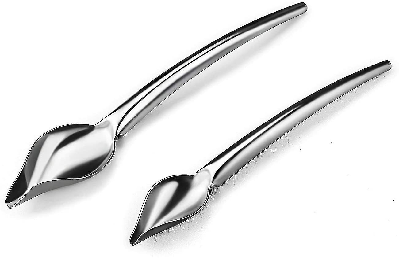 Set Of 2 Multi-purpose Drawing Spoons For Decorating Plates