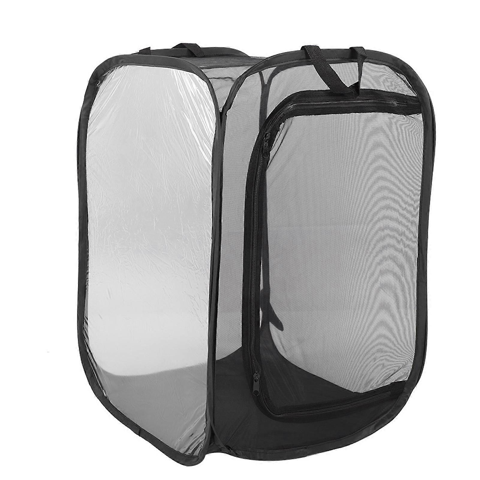 Foldable Insect Cage Housing for Breeding Stick Insects with Net Cloth Mesh Enclosure