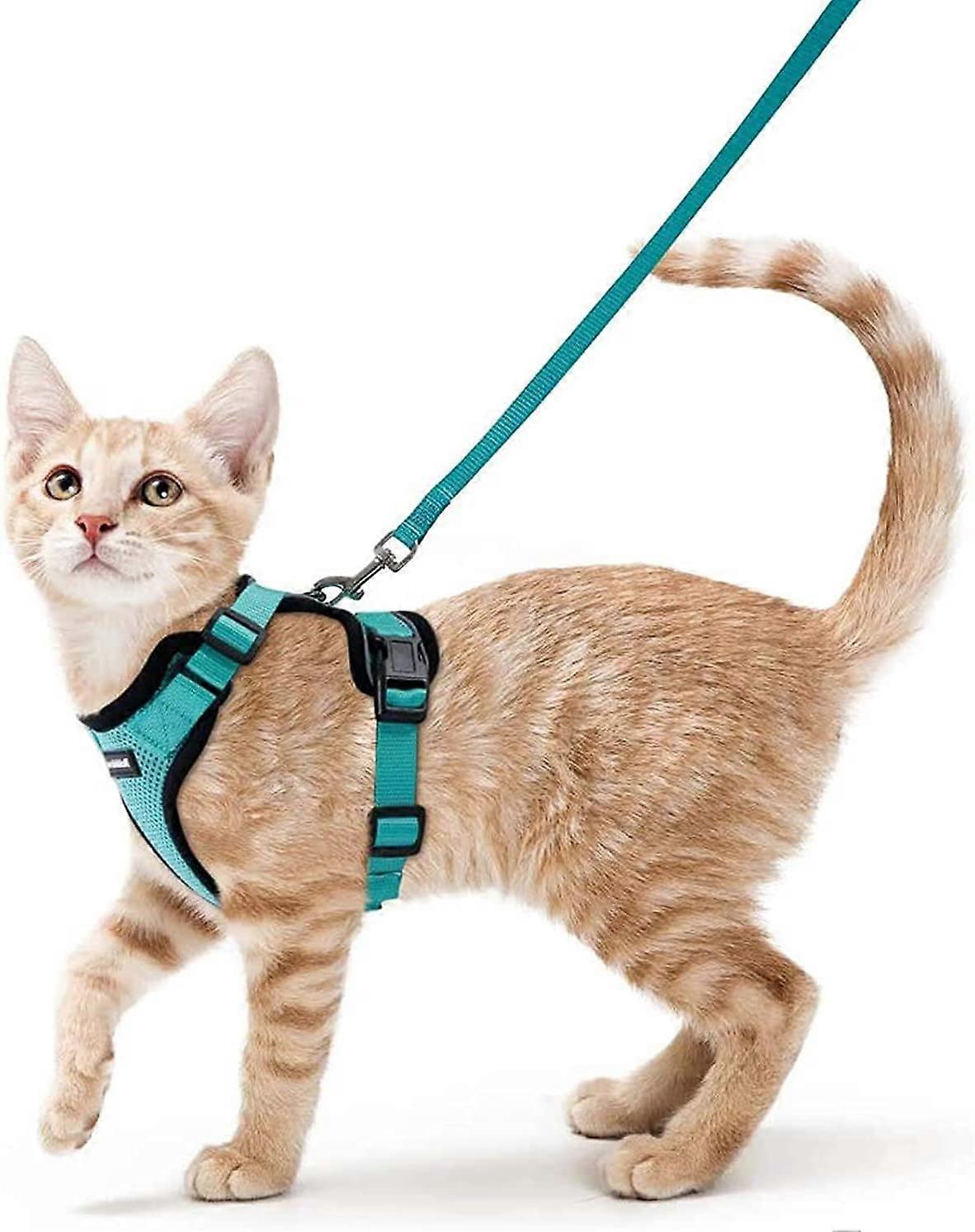 Rabbitgoo猫ハーネス小型犬用リード調整可能な子猫ハーネスグリーンXsカラー反射猫ハーネスベスト通気性ベストウサギ、ヨーロッパの猫、
