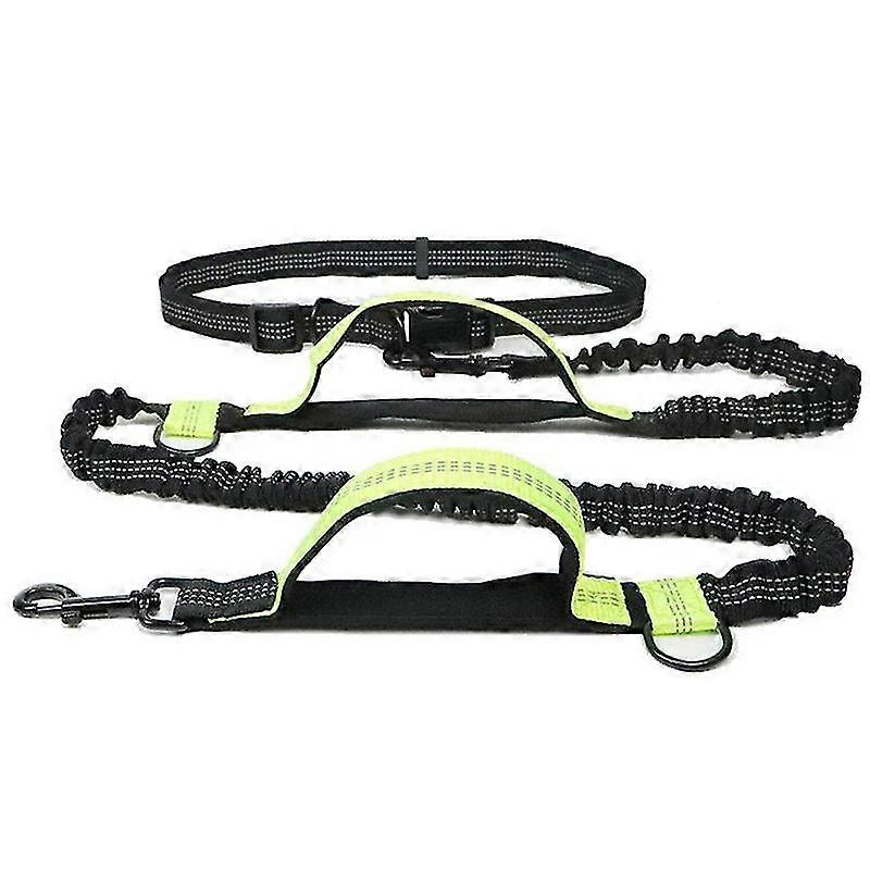 Jogging Dog Leash, Upgrade Hands-free Dog Leash With Two Bungees
