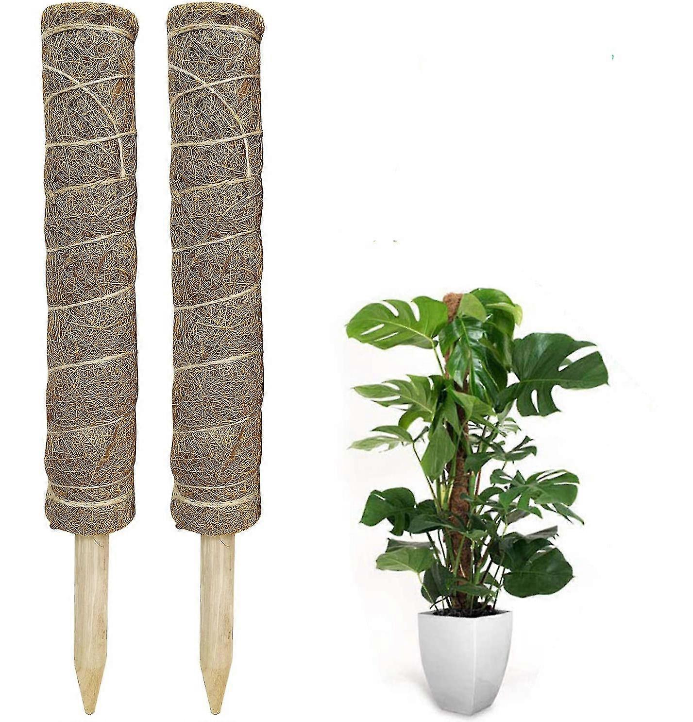 2 قطعة قطب الطحلب للنباتات - إجمالي أعمدة النبات 40 سم ل Monstera ، Monstera Moss Poles لتسلق النباتات ، دعامات النبات للنباتات المحفوظة بوعاء في الداخل
