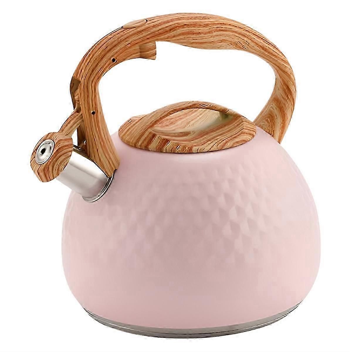 Exquisite Kettle Whistling Kettle 3L Kettle Lid with Handle Induction Cooker Gas Stove Kettle B