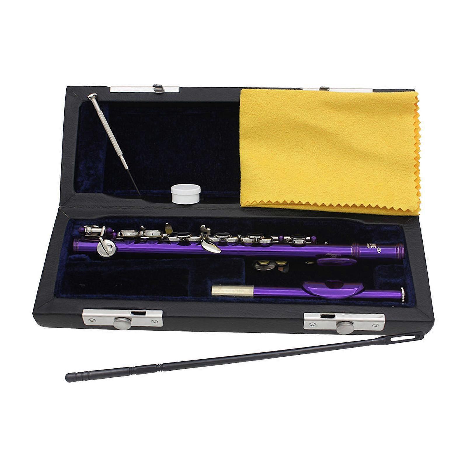 Piccolo C Tone avec étui rigide et kits de nettoyage Instrument à vent 16 trous