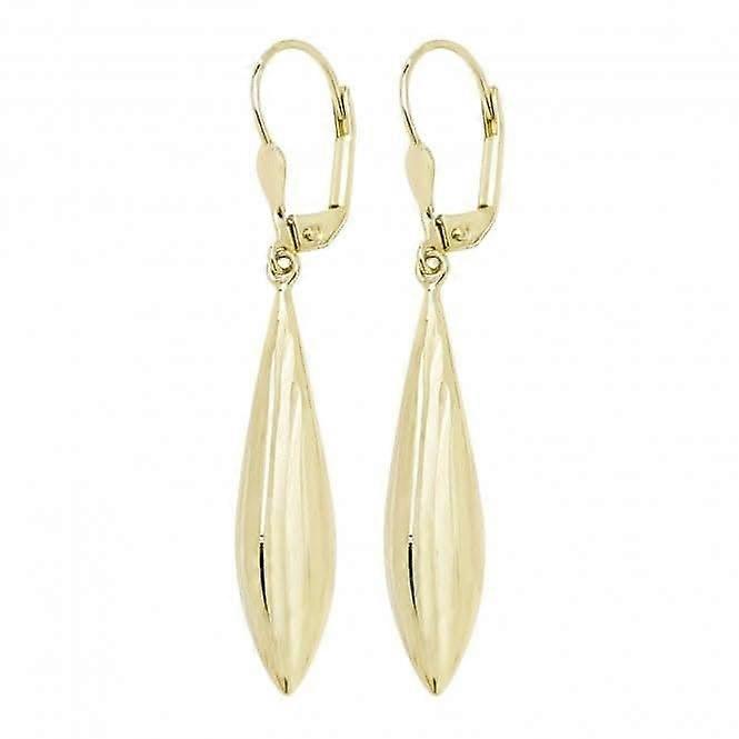 9ct Yellow Gold Lever Back Drop Earrings ES573
