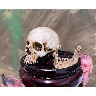 1/6 Scale Human Skull Skeleton Pvc Model For 12" Action Figure Parts Prop