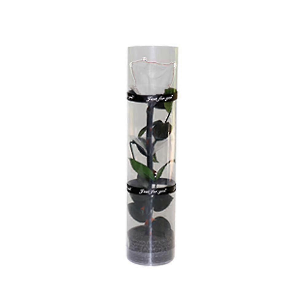 Une vraie rose préservée, une rose éternelle, une rose durable, une rose à floraison éternelle