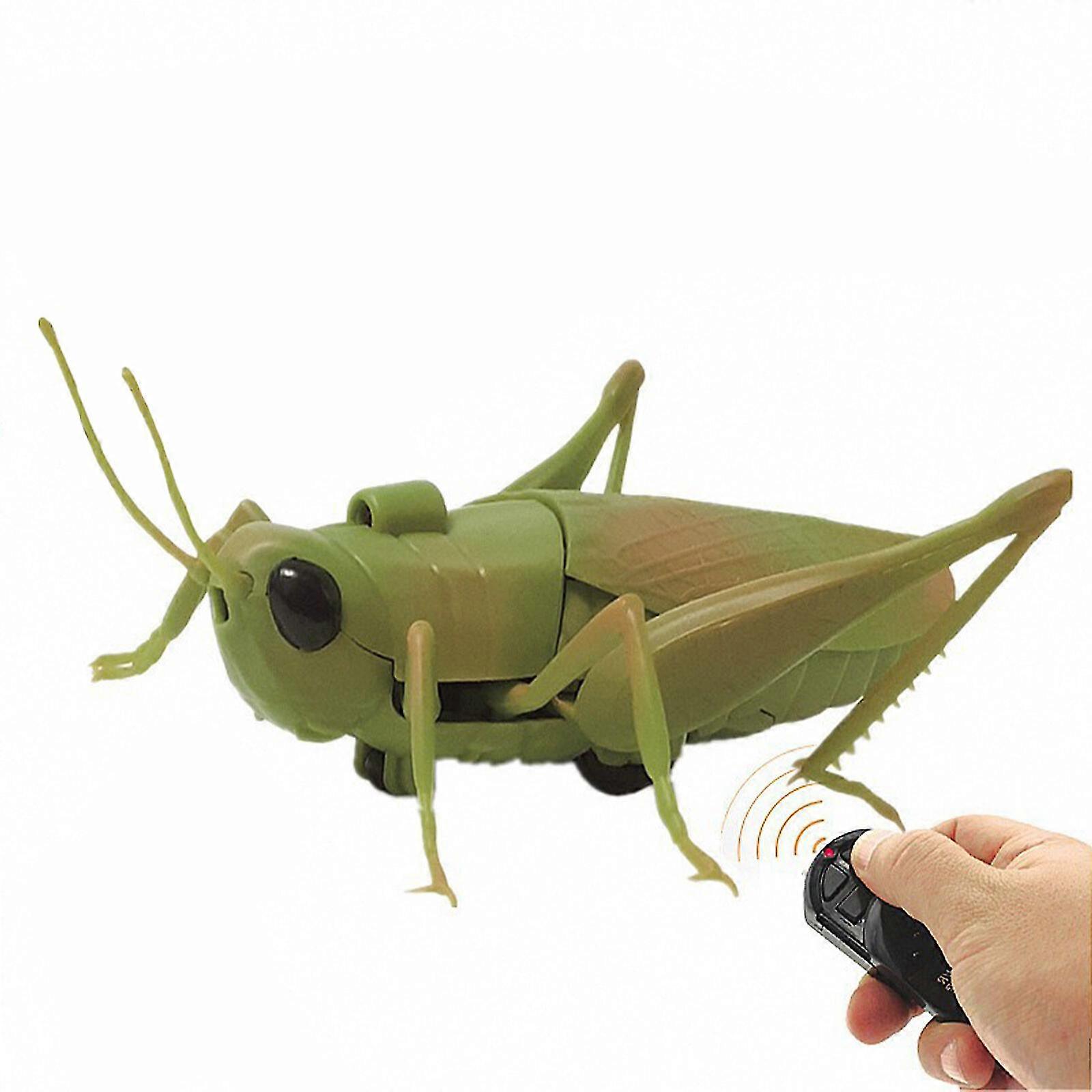 Scary RC Grasshopper Toy - Elektronisches Streichgeschenk für Kinder, mehrfarbig