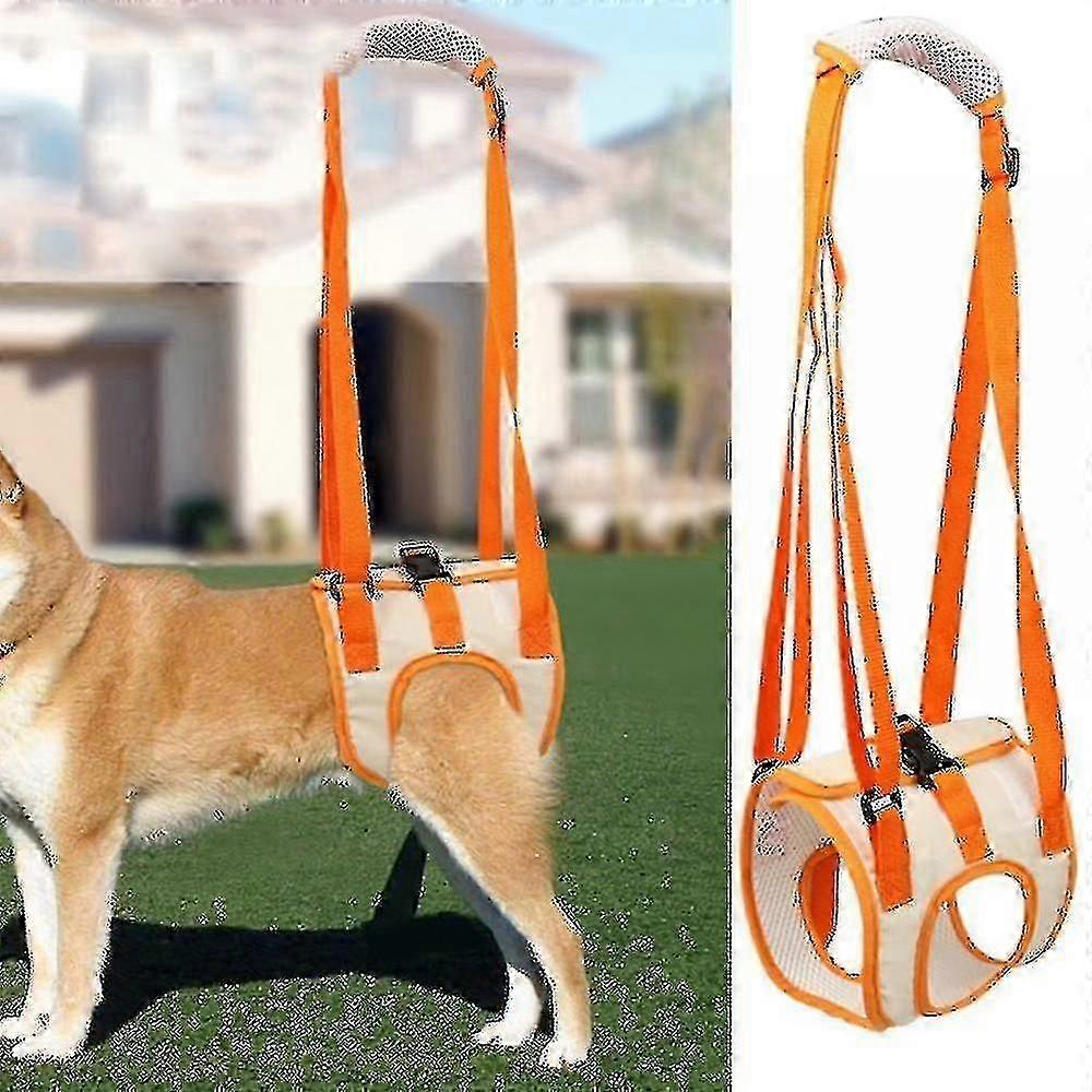 怪我、関節炎、障害者補助のための犬用リアサポートハーネス - M