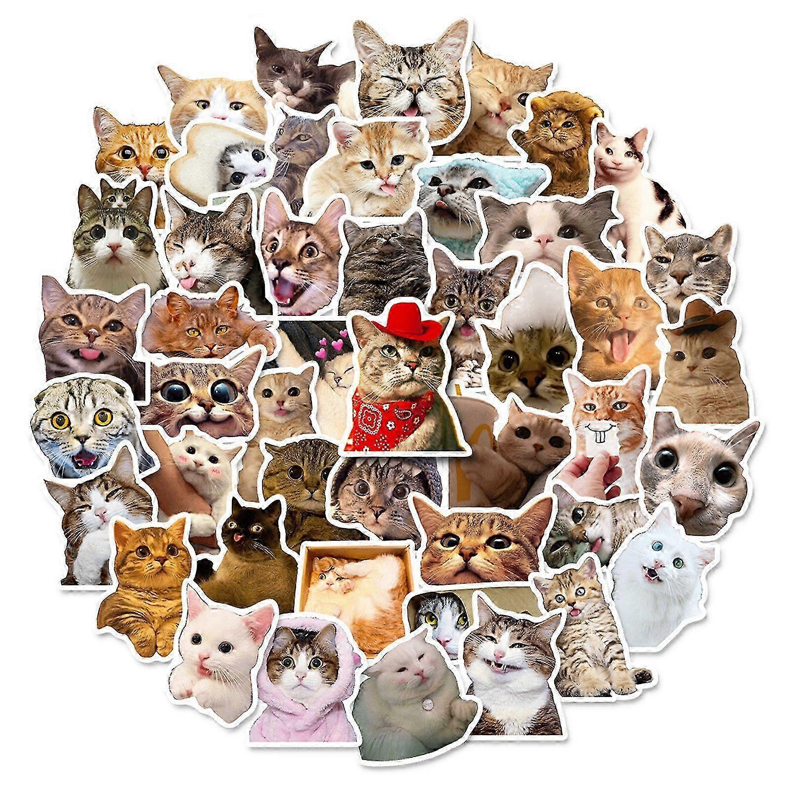 50pcs adorable cat stickers