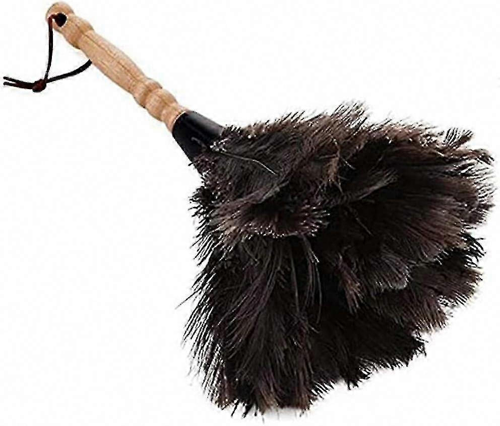 Ostrich Feather Duster with Long Handle - Soft & Gentle Cleaning Tool