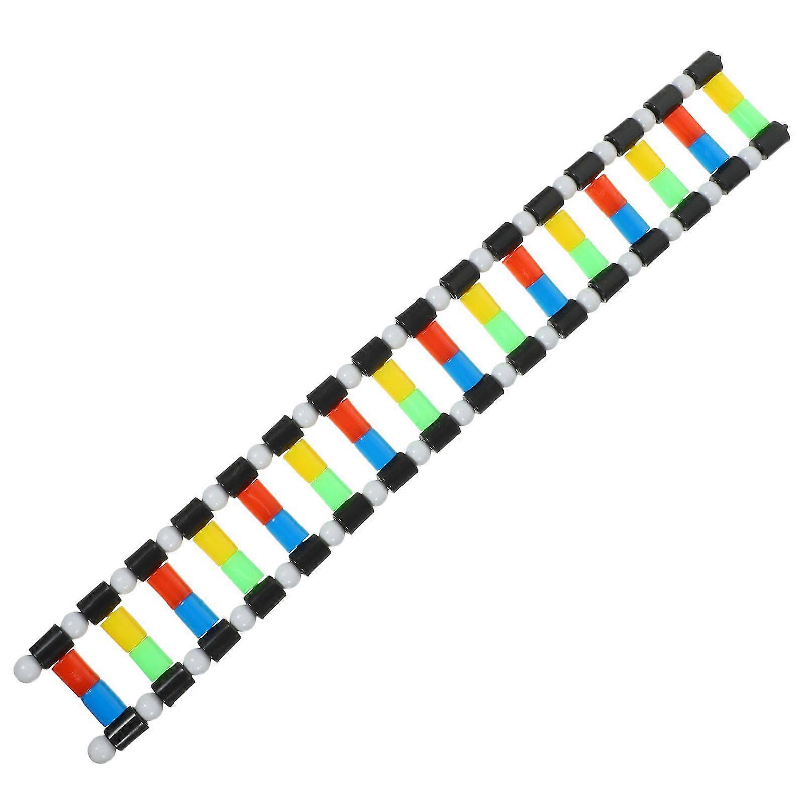 DNA Model Double Helix Model DNA Display Component for Science Teaching Display