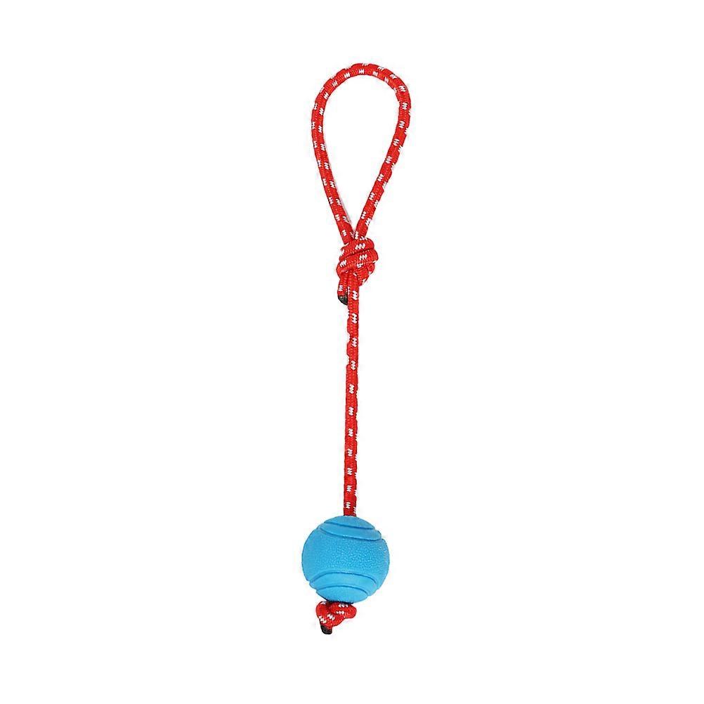 Dog Bite Toy Solid Rubber Ball for Chewing Play 2Pcs Set