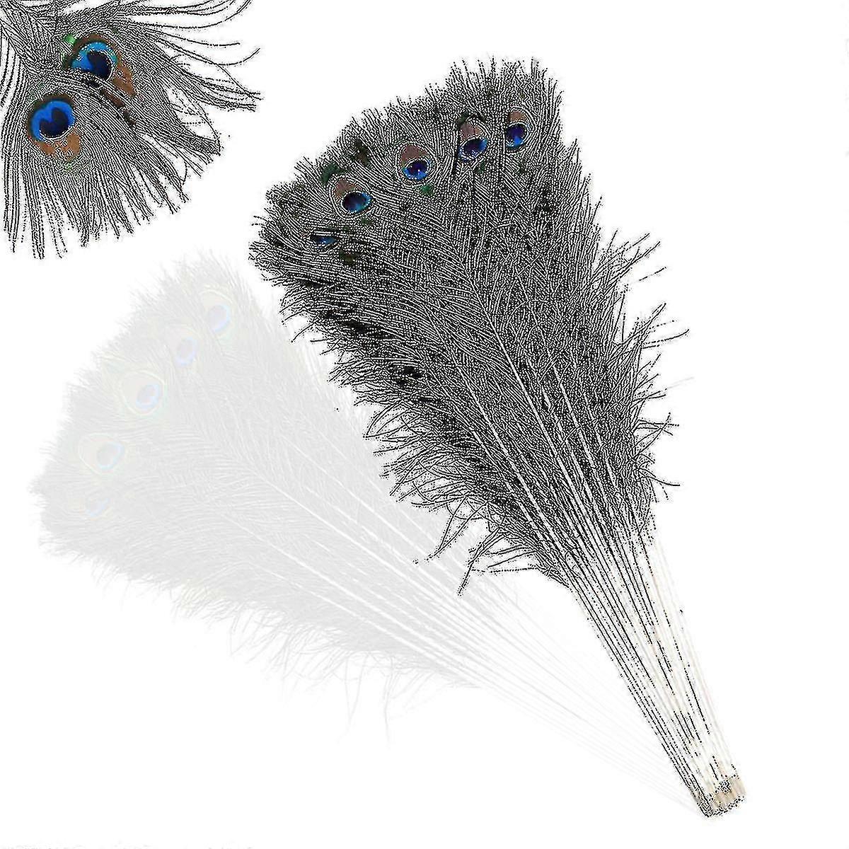 Natural Large Peacock Feathers For Decoration
