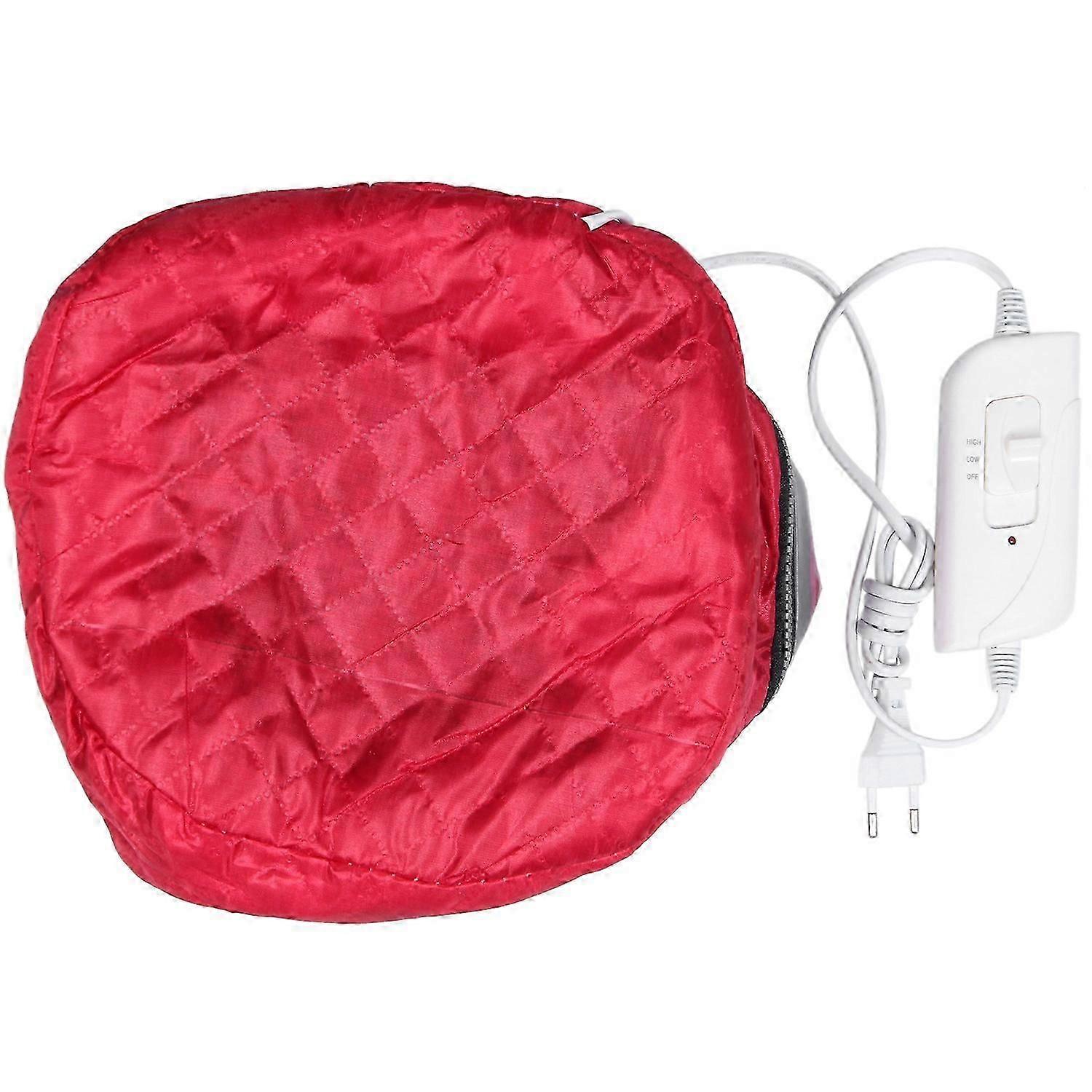 Professional Hair Steamer with Temperature Control AC100-240V